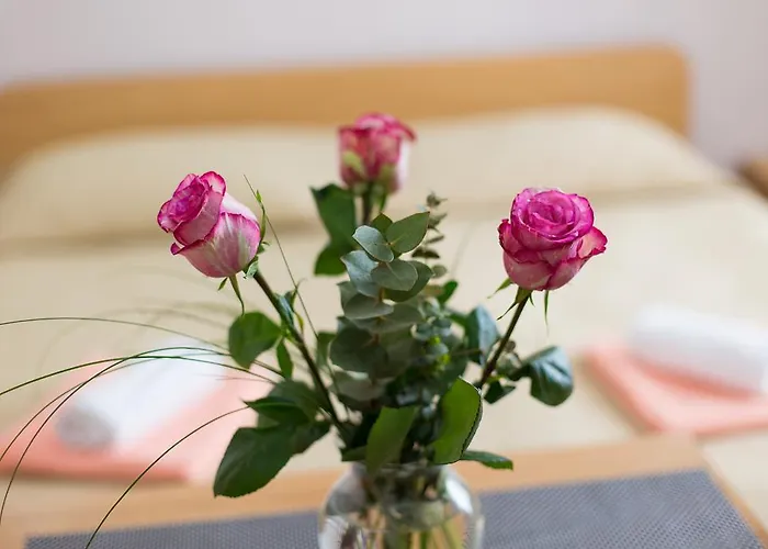 Nadija Studio Apartmani